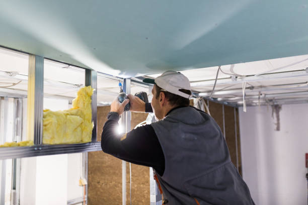 Best Affordable Insulation Services  in Ravensworth, VA