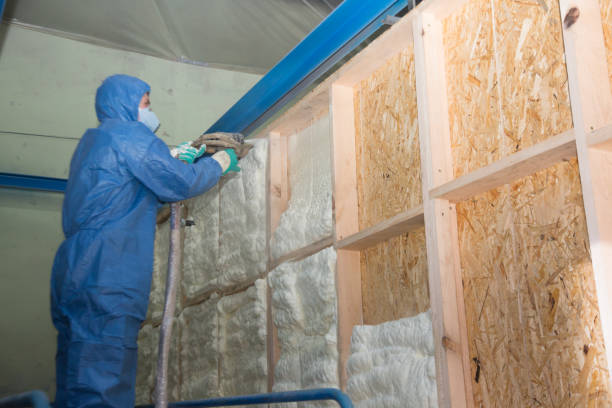 Best Fiberglass Insulation  in Ravensworth, VA
